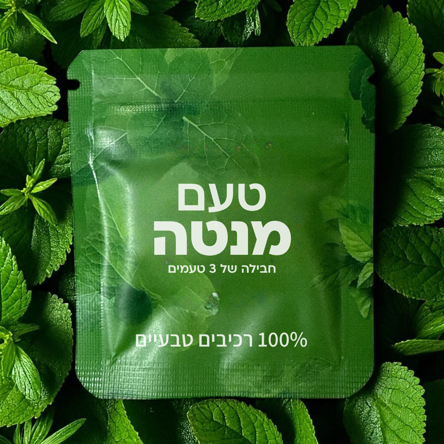 טעם מנטה - 10 חבילות