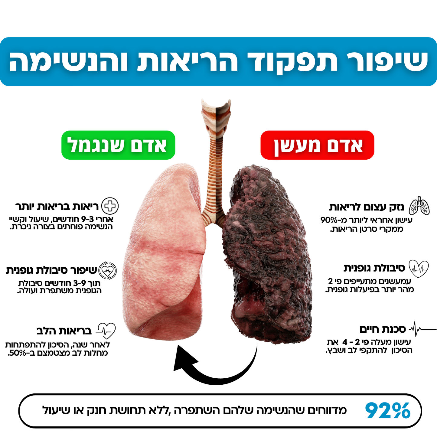 תליון הנשימה - אמפיפיי
